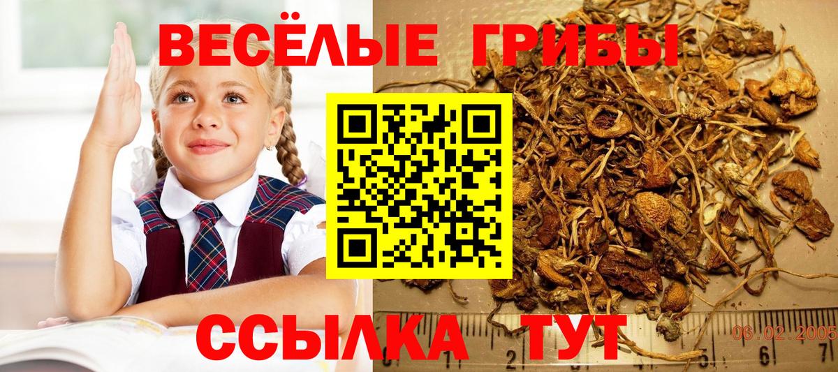 Alpha-PVP Нефтекамск
